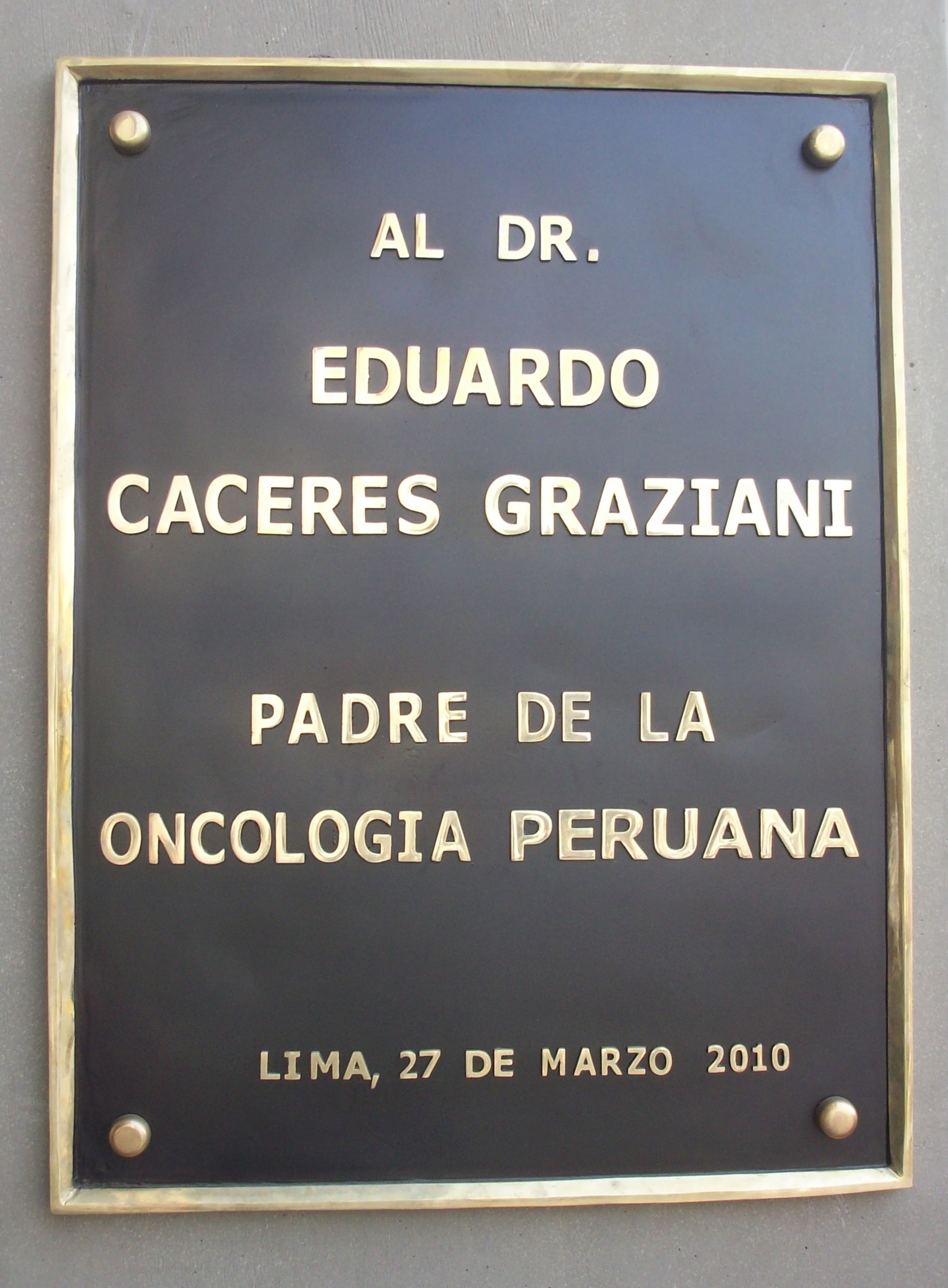 placa_de_bronce_fundido_inen